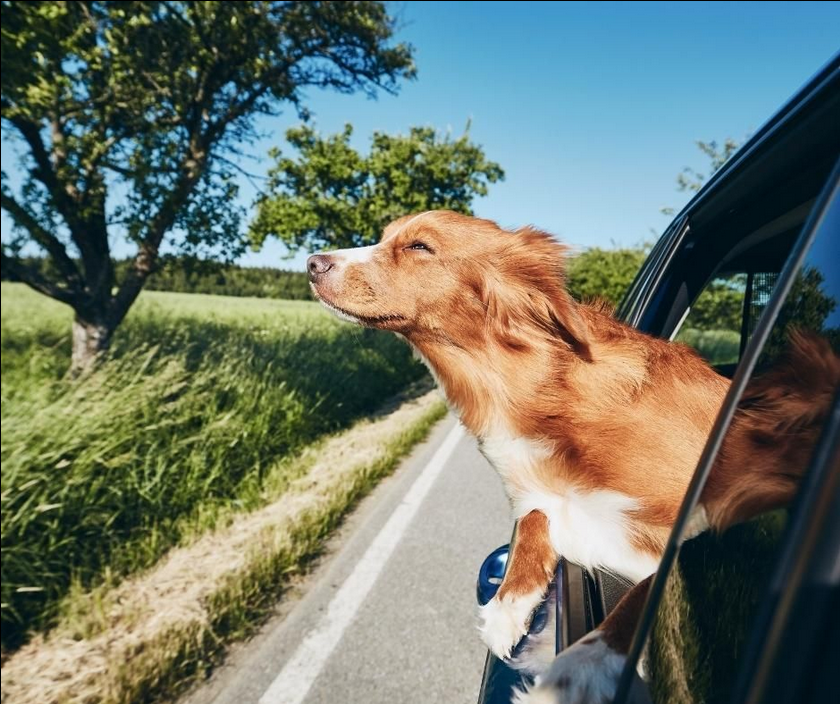 Prêt à prendre la route ?